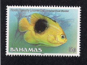 Bahamas 1987 5c Fish, Scott 604c MNH, value = 80c