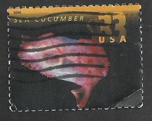 # 3440 USED SEA CUCUMBER