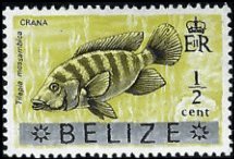 BELIZE   #327 MNH (1)