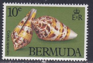 Bermuda # 419, Sea Shells, NH