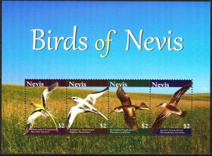 Nevis 2010 Birds Sheet MNH