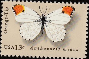 # 1715 MINT NEVER HINGED ( MNH ) ORANGE TIP
