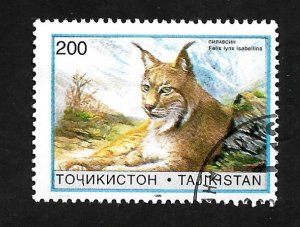 Tajikistan 1996 - FDI - Scott #97