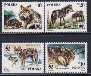 Poland 1985 Sc 2678-81 World Wildlife Fund Wolves Cubs Stamp MNH