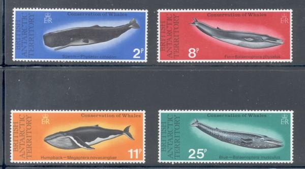 British Antarctic Terr Sc 64-7 1977 Whales stamp set mint NH