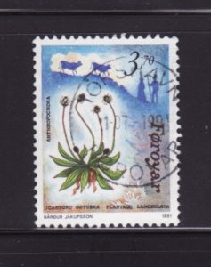 Faroe Islands 216 U Flora and Fauna