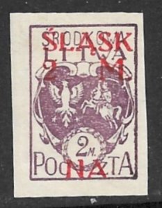 CENTRAL LITHUANIA 1921 2m+2m SILESIAN PLEBISCITE Misplaced NA Ovpt Sc B5 MNGAP