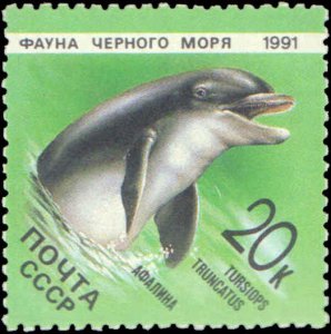 Russia #5954-5958, Complete Set(5), 1991, Marine Life, Never Hinged