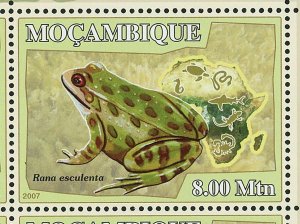 Frogs Stamp Dendrobatidae Mantella Gastrotheca Pyxicephalus S/S MNH #2957-2962