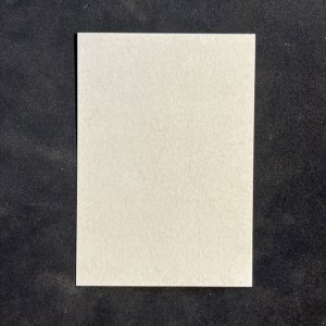 German Third Reich Nazi Adolf Hitler Birthday Stamp Souvenir Sheet Postal Card