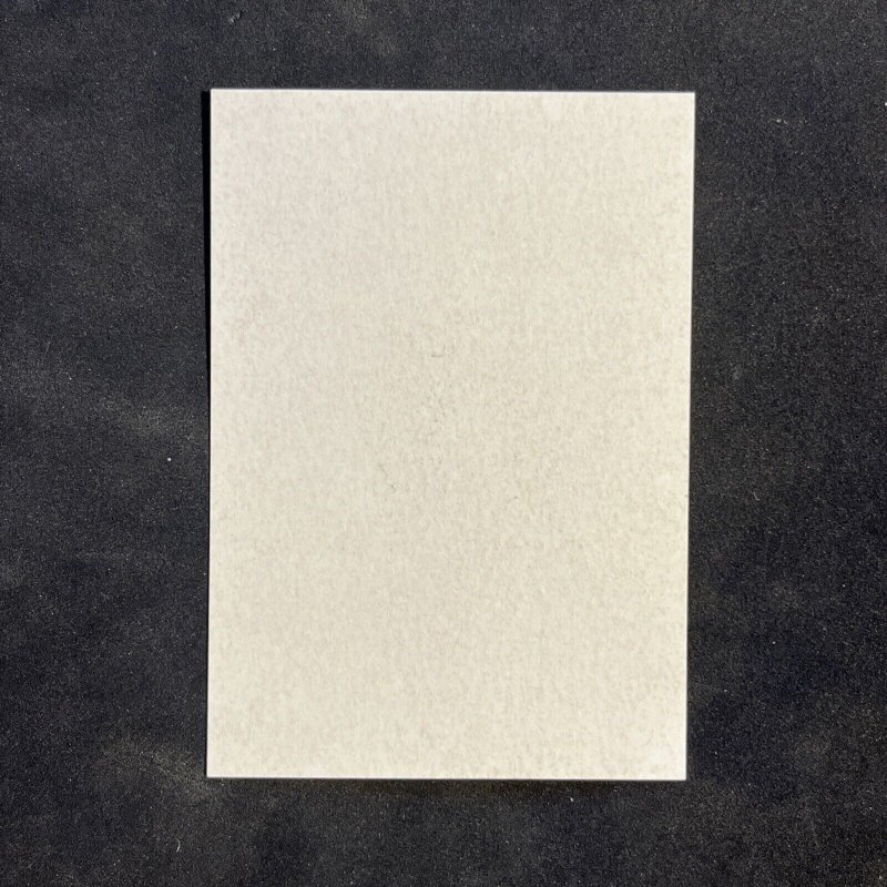 German Third Reich Nazi Adolf Hitler Birthday Stamp Souvenir Sheet Postal Card