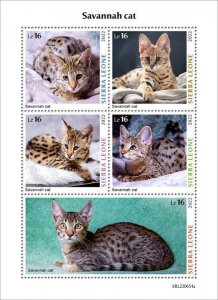 Sierra Leone - 2022 Savannah Cats on Stamps - 5 Stamp Sheet - SRL220654a