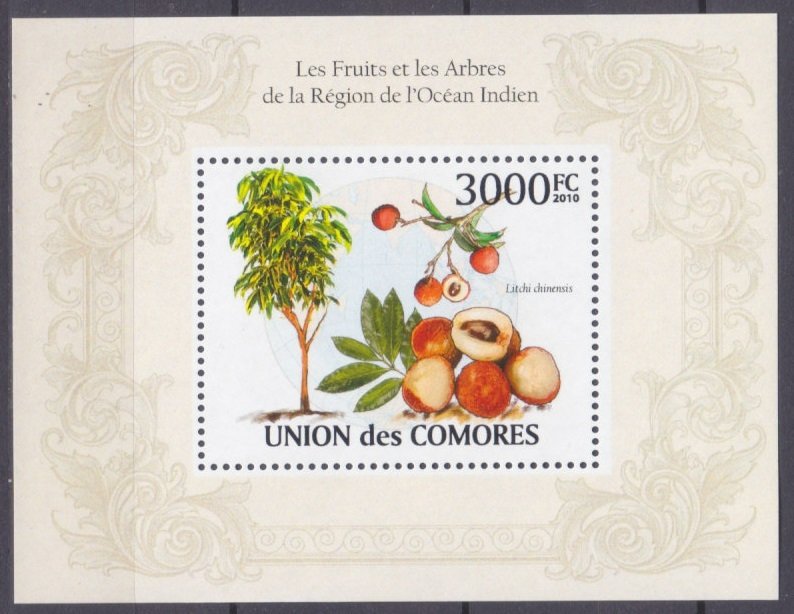 2009 Comoro Islands 2666/B568 Fruit 15,00 €