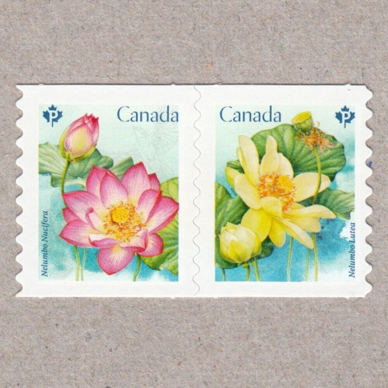 DIE CUT = LOTUS = pair of COIL stamps MNH Canada 2018 #3089iii