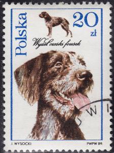 Poland 2902 Dogs Czech Fousek Pointer 1989