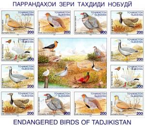 Tajikistan 1996 Sc#84/89  BIRDS Sheetlet (12+Label) Perforated MNH