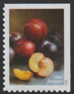 SC# 5484 - (55c) - Fruits and Vegetables: Red & Black Plums - Used Single