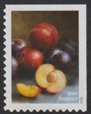 SC# 5484 - (55c) - Fruits and Vegetables: Red & Black Plums - Used Single