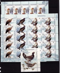 MOLDOVA Sc 564-8 NH MINISHEET+SOUVENIR SHEET of 2007 - BIRDS