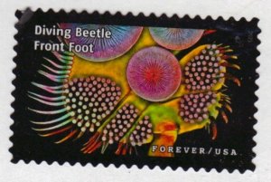 New 2023 - 66c - Life Magnified, Beetle Front Foot - 9 of 20 - Used Off Paper