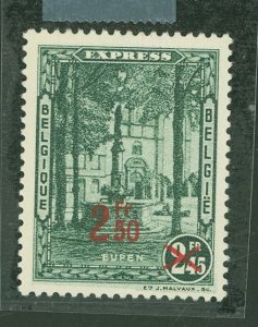 Belgium #E6 Unused Single