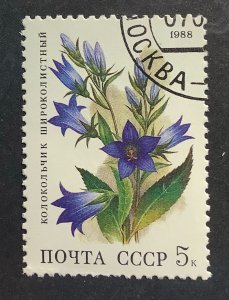 Russia USSR 1988 Scott 5687 CTO - 5k,   Deciduous Forest Flowers,  Bellflower