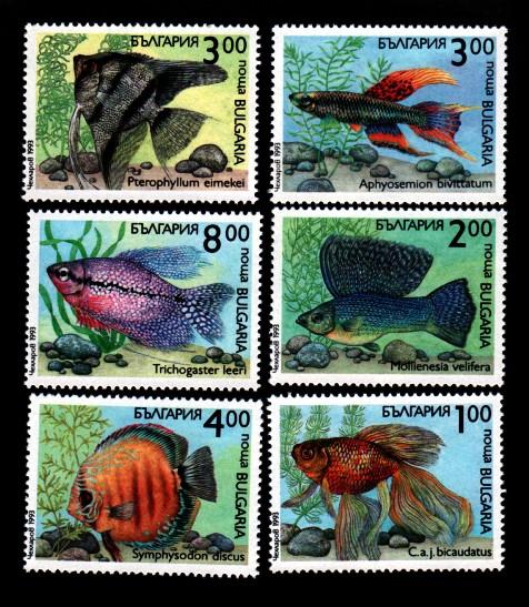 Bulgaria # 3766-3771 Mint Fish!