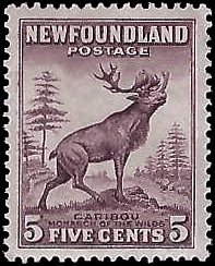 NEWFOUNDLAND   #191 MNH (2)