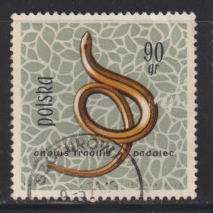 Poland 1138 Slow Worm 1963