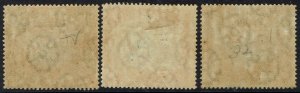 PAPUA 1906 LAKATOI OVERPRINTED LARGE PAPUA 1/2D 1D AND 2D VERTICAL WMK 