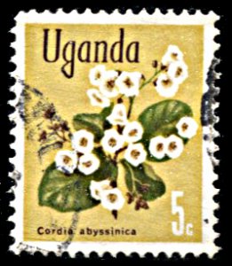 Uganda 115, used, Flower Definitive