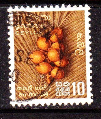 Ceylon -  #349 King Coconut - Used