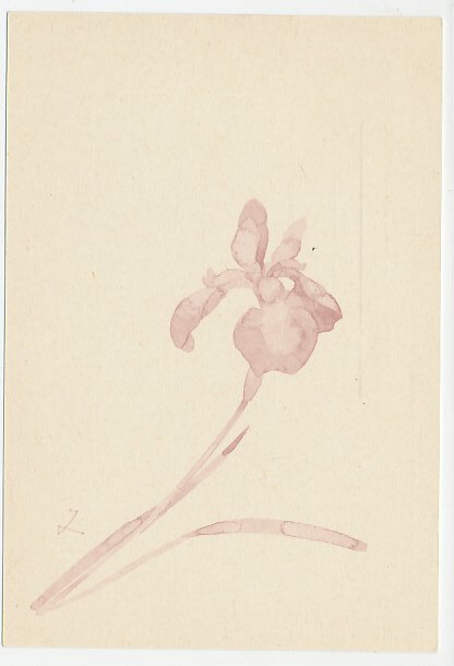 Postal stationery Japan 1972 Flower