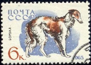 Dog, Borzoi, Russia Stamp SC#3006 Used