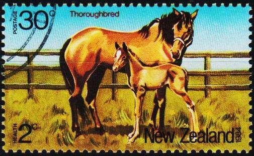 New Zealand. 1984 30c+2c S.G.1346  Fine Used