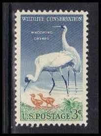 1098 Fine MHH D17469