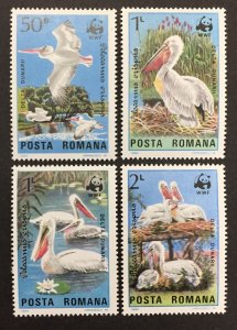 Romania 1984 #3232-5, Pelicans, MNH.