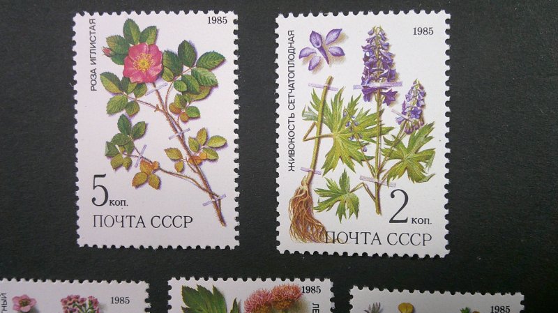 Russia 1985 Medicinal Plants Scott# 5379-5383 Mint XF NH CPL set of 5