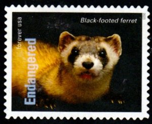 SC# 5799b - (68c) - Endangered Black-Foot Ferret - 2 of 20 - Used Off Paper