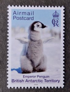 YEAR 2023 - BRITISH ANTARCTIC TERRITORY  - PUNGUIN set       1V MNH **