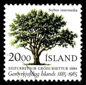 Iceland 608 - used