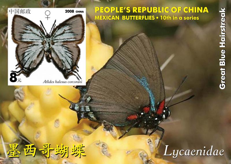 CHINA SHEET IMPERF CINDERELLA BUTTERFLIES INSECTS