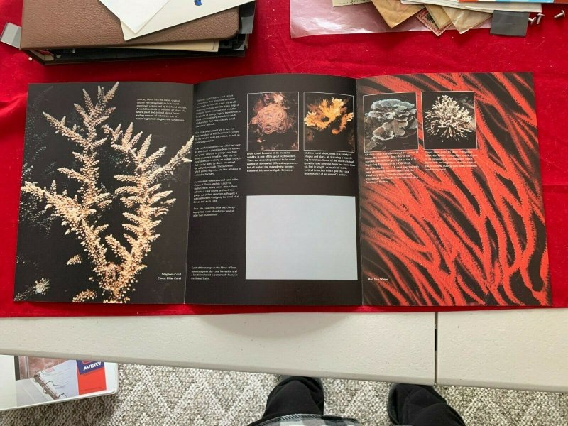 1980 US MINT COMPLETE COMMEMORATIVE YEAR CORAL REEFS USA MNH  