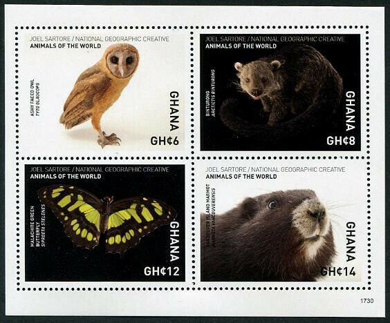 HERRICKSTAMP NEW ISSUES GHANA Sc.# 2943 National Geographic Animals Sheetlet