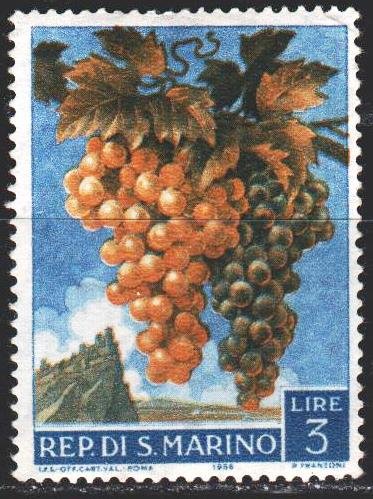 San Marino. 1958. 596 from the series. Grape. MNH.