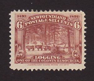 Newfoundland 66 VF MH