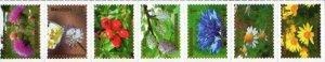 Turkmenistan 2020 Definitives flowers berries butterfly set of 7 stamps in strip