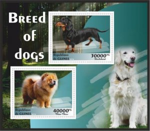 Stamps. Fauna Domestic DOGS  1+1 sheets perforated 2016 year Guinee