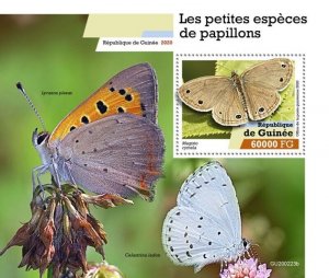 Guinea - 2020 Giant Butterfly Species - Stamp Souvenir Sheet - GU200223b