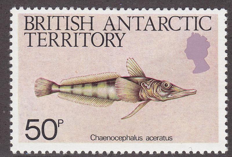 British Antarctica 114  Chaenocephalus Aceratus 1984